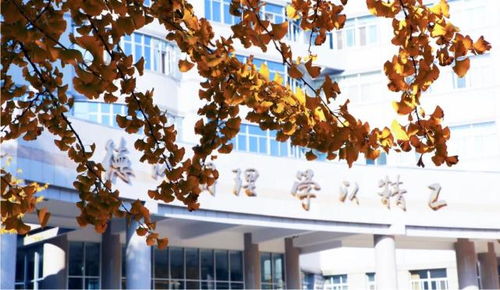 北京理工大學王牌專業盤點 網絡與信息安全、軟件開發等熱門方向不可錯過